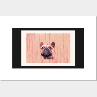 French bulldog, cute frenchie head, pink dog Posters and Art